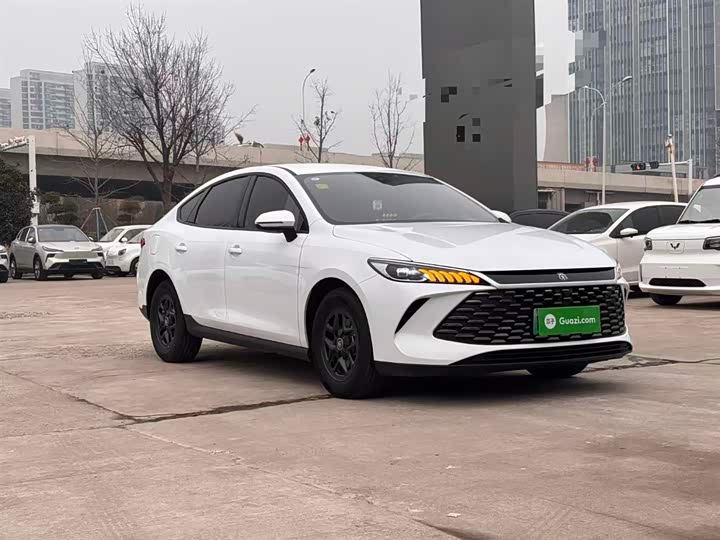 Фото 4 - BYD Qin Plus