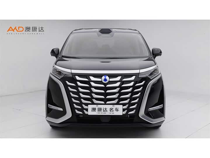 Фото 2 - Denza D9