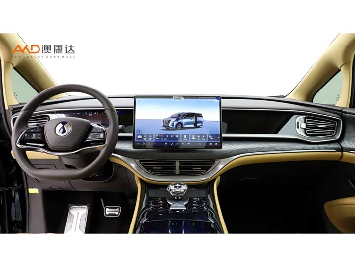 Фото 5 - Denza D9