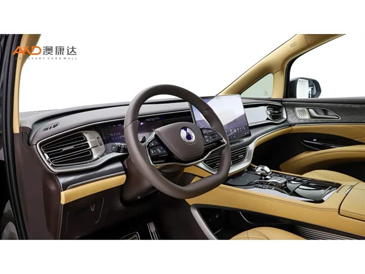 Фото 6 - Denza D9