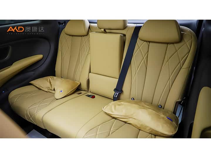 Фото 9 - Denza D9