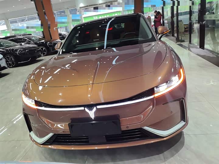 Фото 3 - Voyah Passion