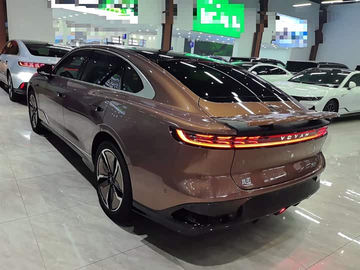 Фото 5 - Voyah Passion