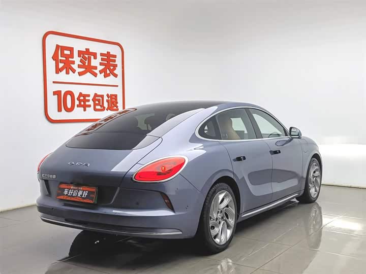 Фото 2 - Ora Lightning Cat (07)