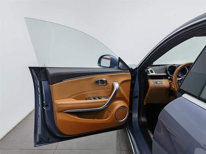 Фото 8 - Ora Lightning Cat (07)