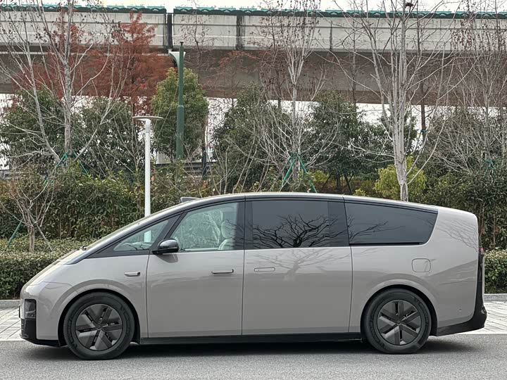 Фото 7 - LiXiang Mega