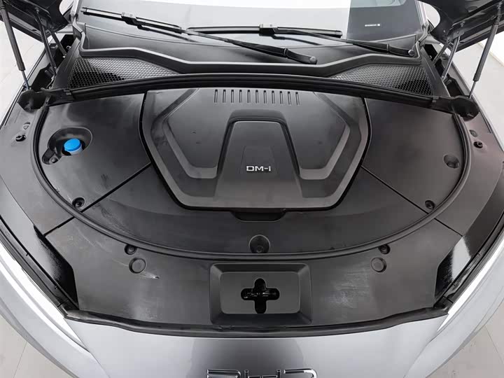 Фото 6 - BYD Song Plus Hybrid/EV