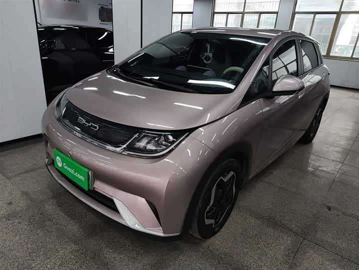 Фото 1 - BYD Dolphin