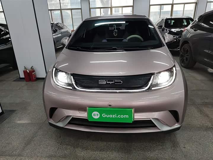 Фото 3 - BYD Dolphin