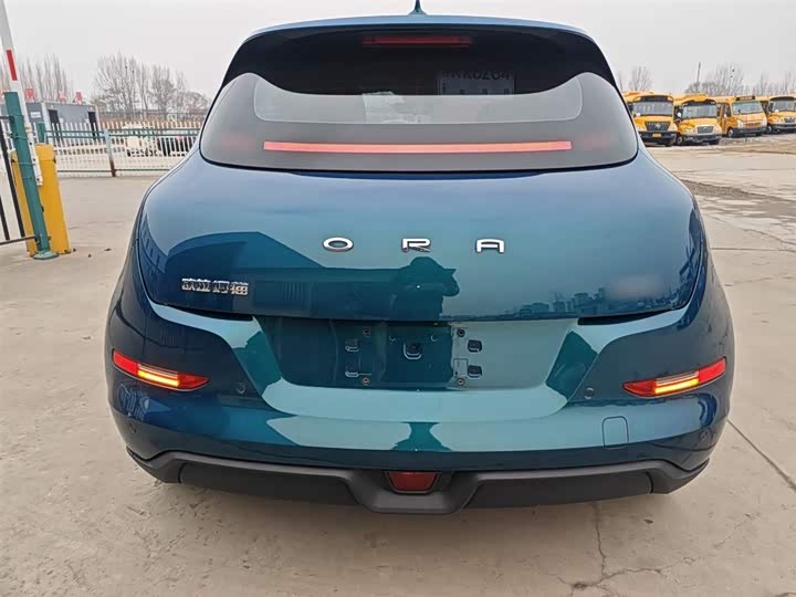 Фото 6 - Ora Good Cat (03)