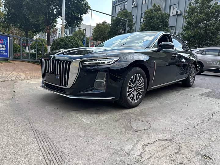 Фото 1 - Hongqi H5