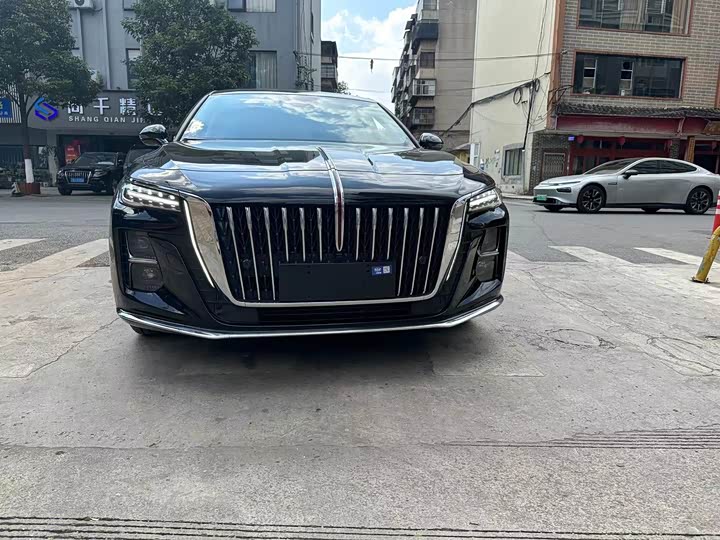 Фото 2 - Hongqi H5