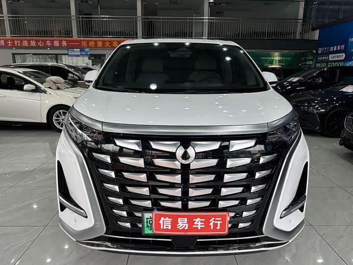 Фото 2 - Denza D9