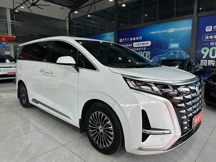 Фото 3 - Denza D9