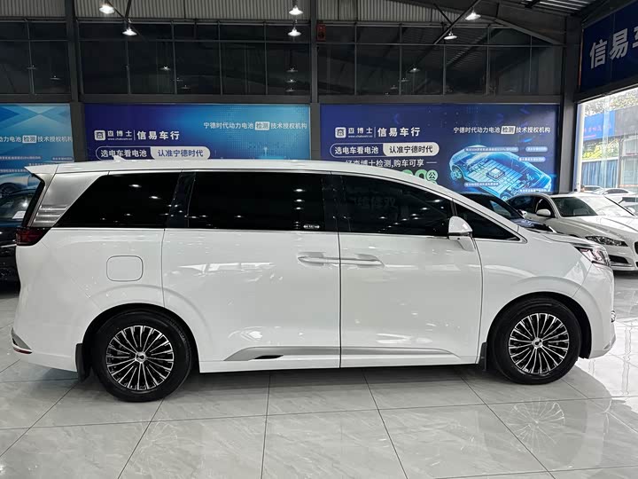 Фото 4 - Denza D9