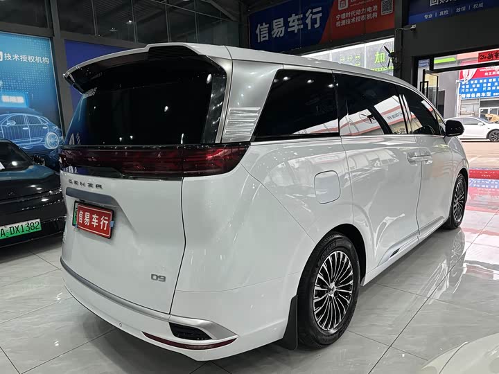 Фото 6 - Denza D9