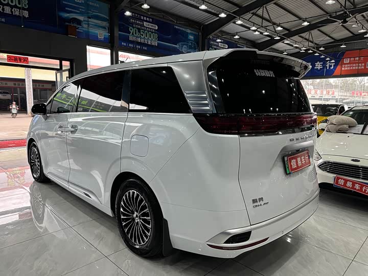 Фото 8 - Denza D9