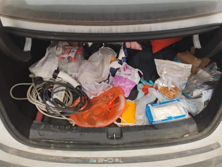 Фото 4 - BYD Qin L