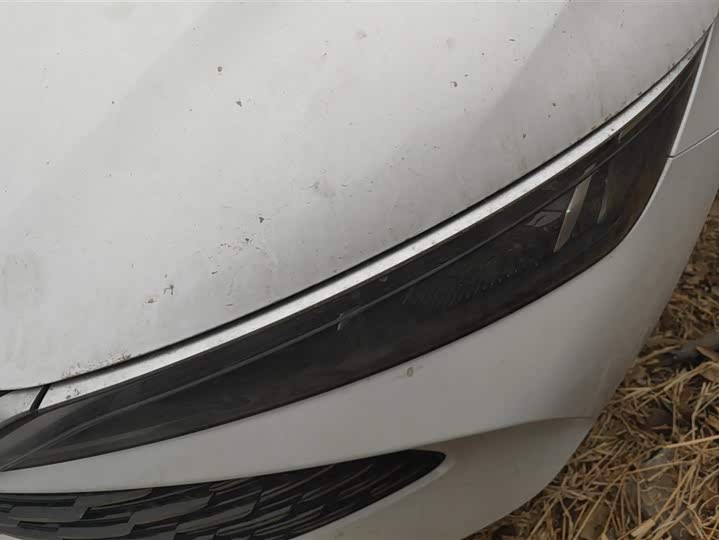 Фото 5 - BYD Qin L