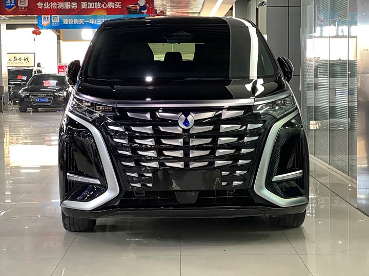 Фото 2 - Denza D9