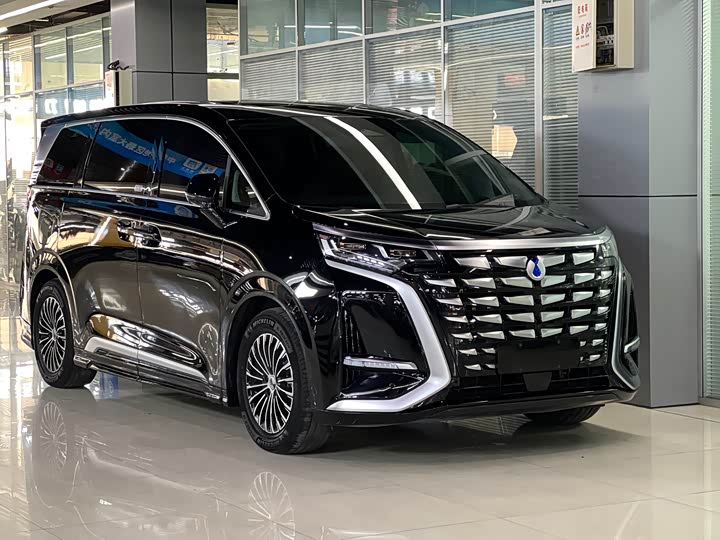 Фото 3 - Denza D9