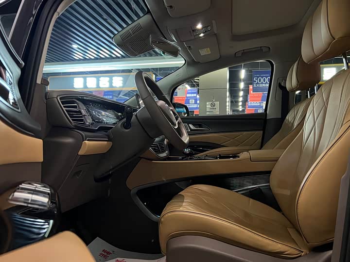 Фото 4 - Denza D9