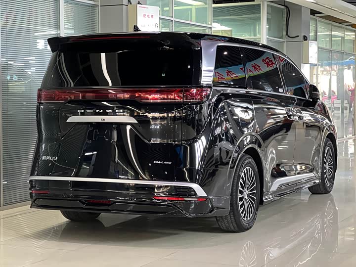 Фото 9 - Denza D9