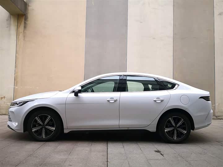 Фото 9 - BYD Destroyer 05