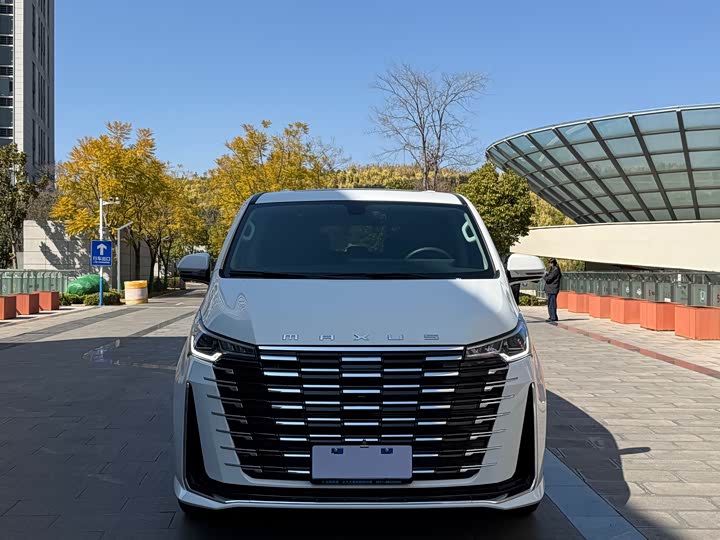 Фото 2 - Maxus G10