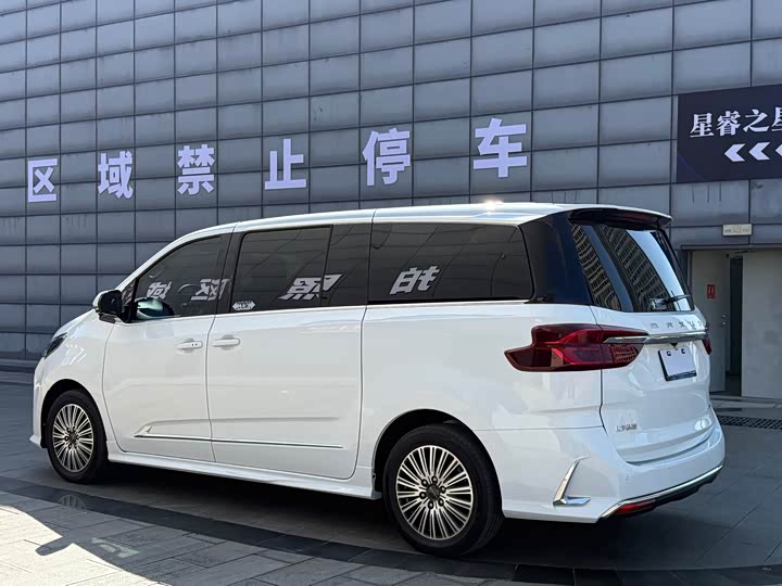 Фото 6 - Maxus G10