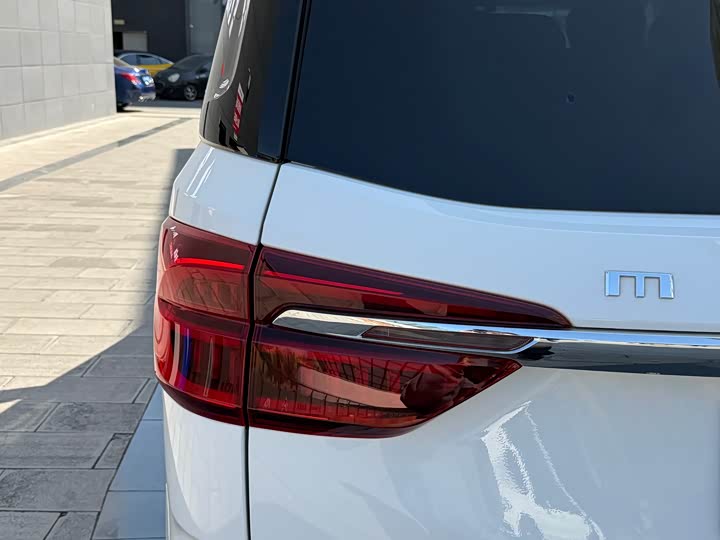 Фото 7 - Maxus G10