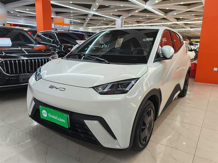 Фото 1 - BYD Seagull