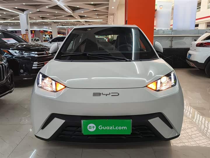 Фото 3 - BYD Seagull