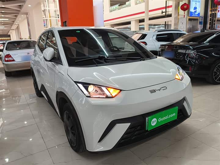 Фото 4 - BYD Seagull