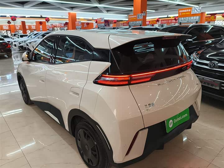 Фото 5 - BYD Seagull