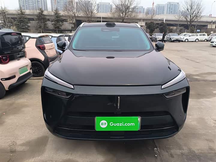 Фото 3 - Wey Lanshan