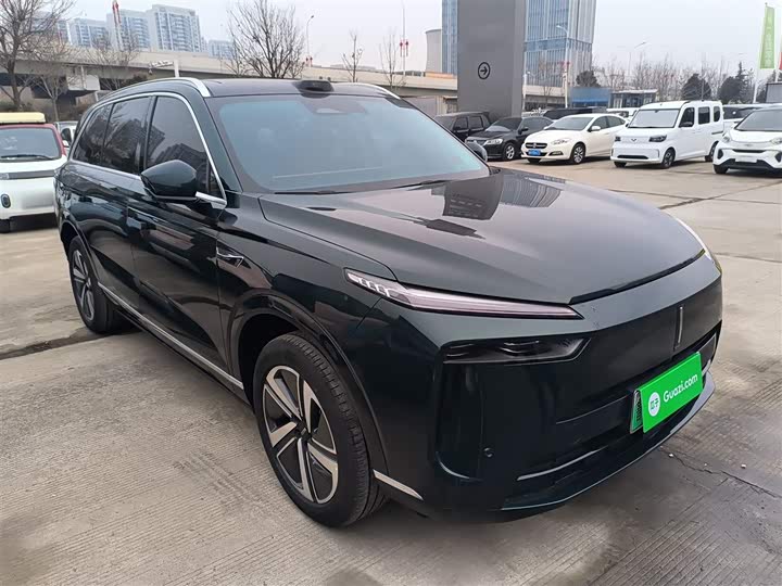 Фото 4 - Wey Lanshan