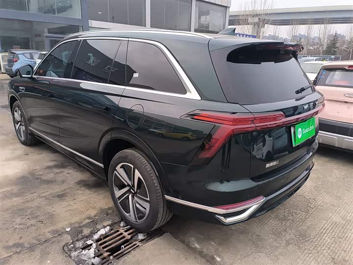 Фото 5 - Wey Lanshan