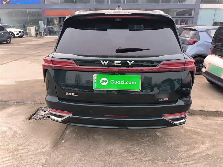 Фото 6 - Wey Lanshan