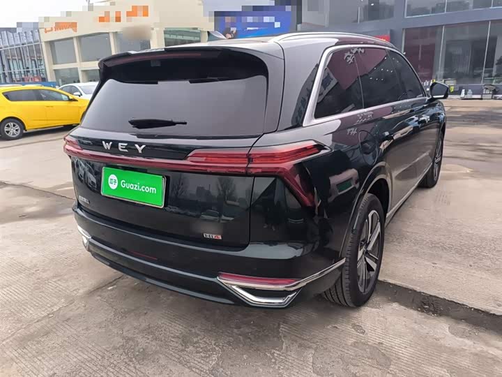 Фото 7 - Wey Lanshan