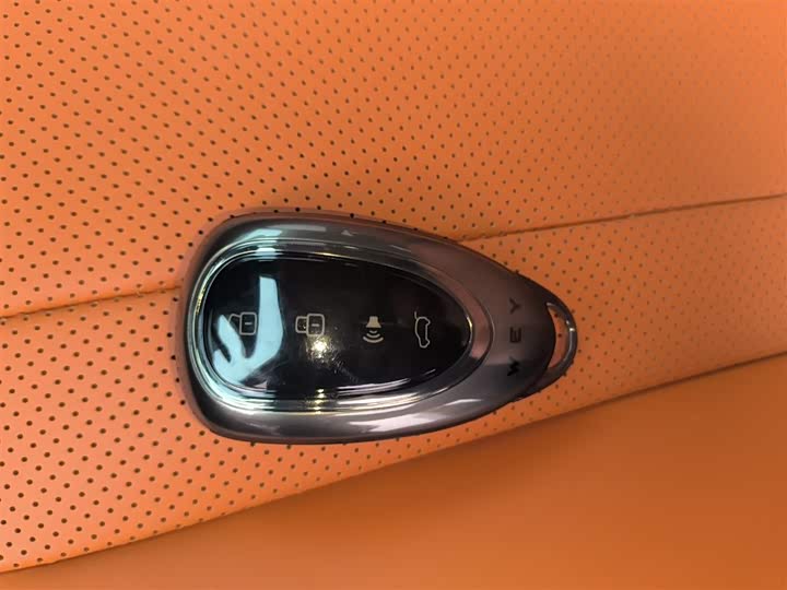 Фото 9 - Wey Lanshan