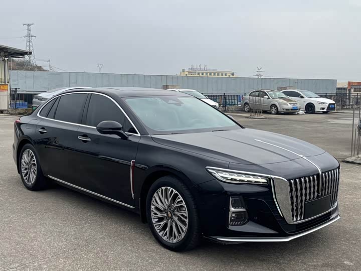 Фото 3 - Hongqi H5