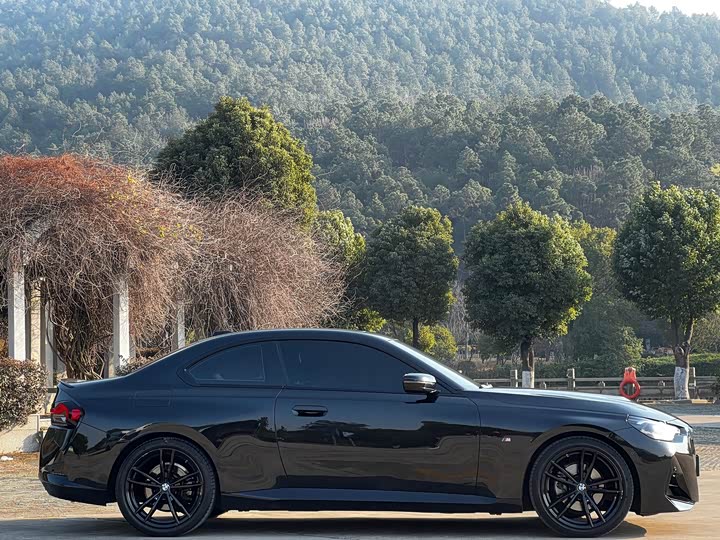 Фото 4 - BMW 2 Series