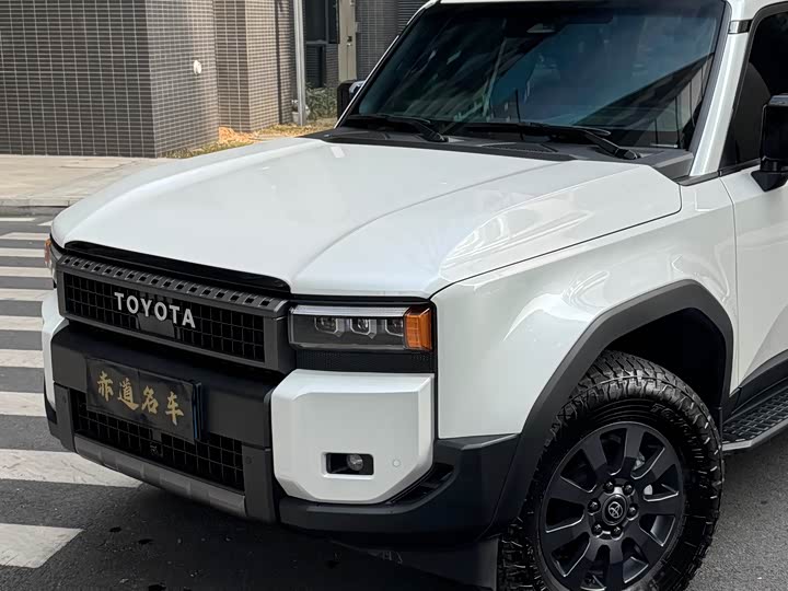 Фото 9 - Toyota Prado