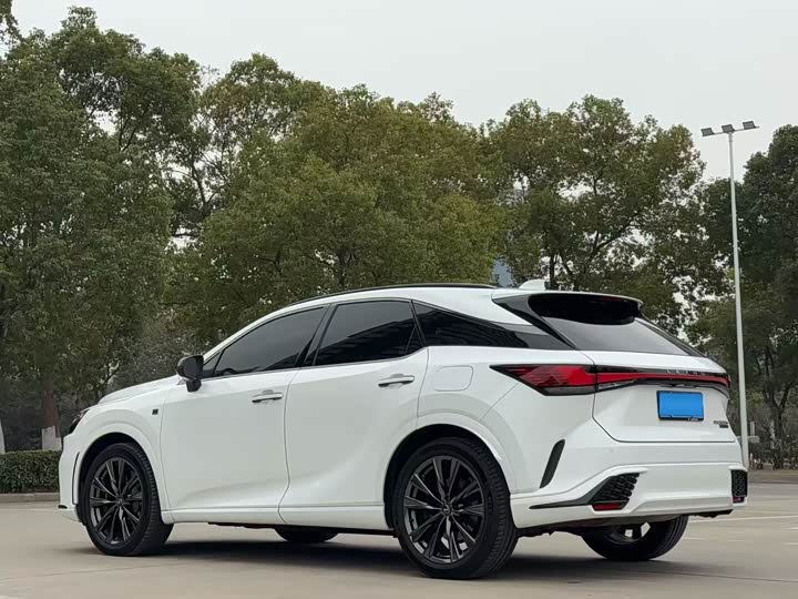Фото 5 - Lexus RX