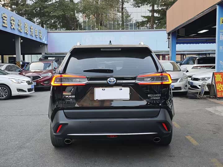 Фото 6 - Toyota Wildlander