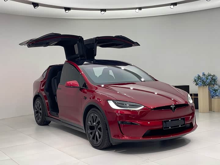 Фото 3 - Tesla Model X