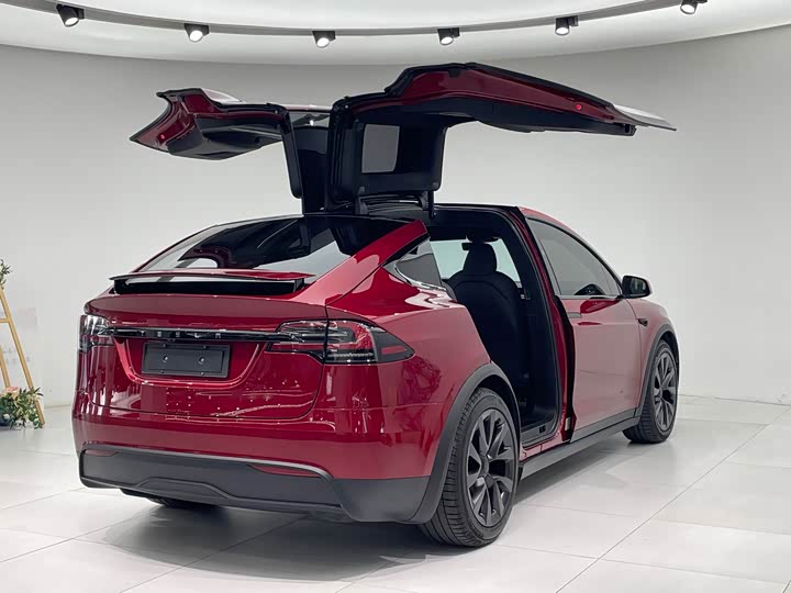 Фото 4 - Tesla Model X