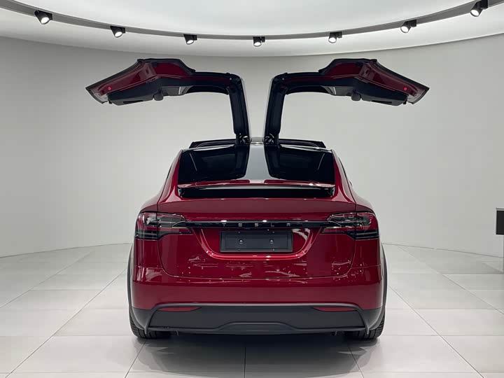 Фото 5 - Tesla Model X