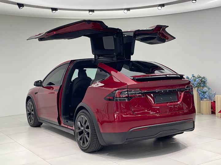 Фото 6 - Tesla Model X